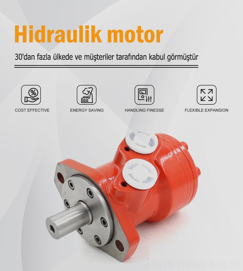 BMR_Sikloid Hidrolik Motor-3 80 cc/r 53 L/dakika hidrolik motor